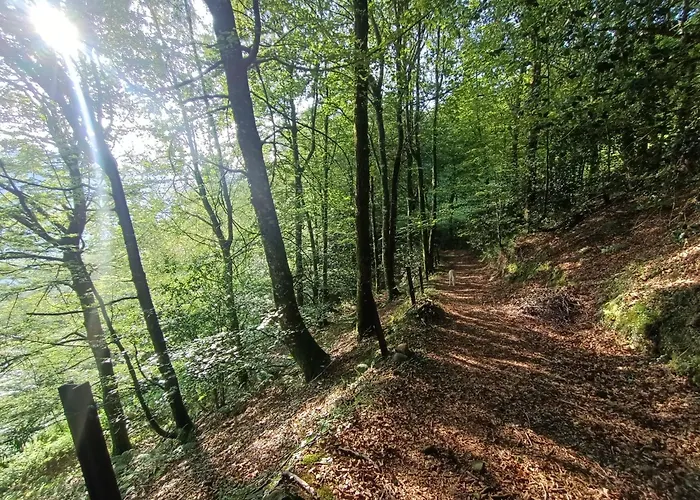 Hébergement de vacances La Mirador De Valles Pasiegos *
