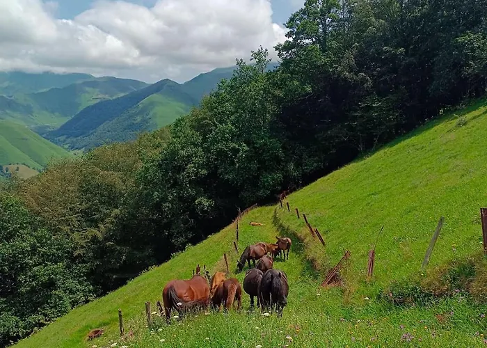 Hébergement de vacances La Mirador De Valles Pasiegos Vega de Pas